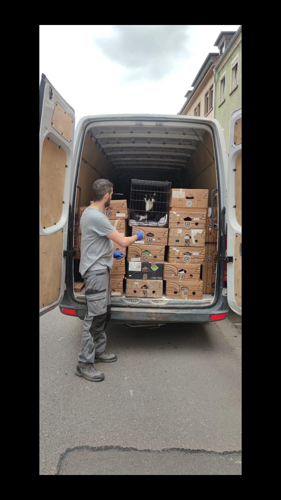 zugeschnitten_WhatsApp Image 2023-08-07 at 14.38.24